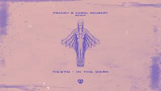Tiesto feat. Christian Burns - In The Dark (PRADOV \u0026 Carol Seubert Remix) [DropUnited Exclusive]