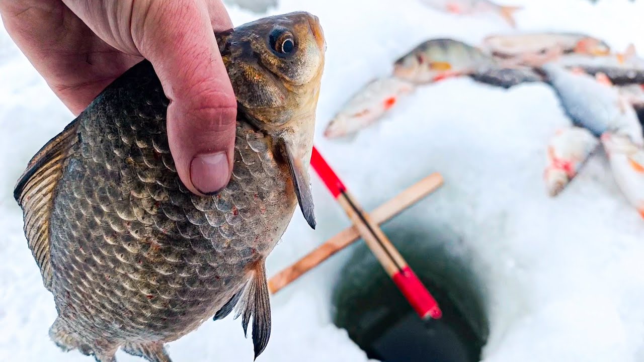 На САМОДЕЛЬНУЮ СНАСТЬ клюют КАРАСИ и ПЛОТВА!! Рыбалка НА КРЕСТ!! Снасть, эффективнее УДОЧКИ?!