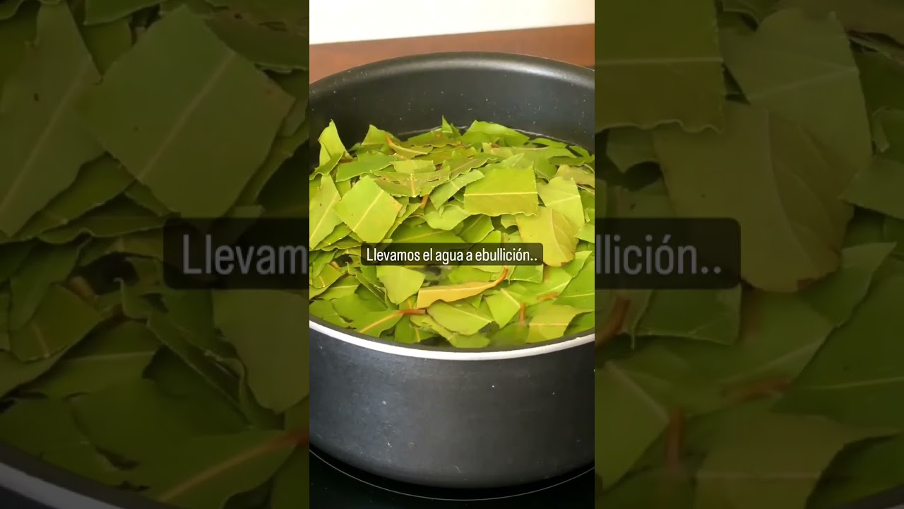 INSECTICIDA 100 veces + POTENTE que Otros!! 🐜