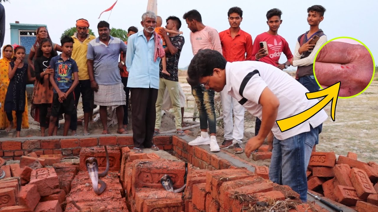 गुस्से में आकर सांप ने काटा फिर गुड्डू मौर्या ने जो किया, नाग नागिन के साथ 1ही स्थान पर मिले 5 सांप!