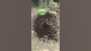 Soil Treatment Trichoderma