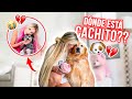 ¿QUÉ HA PASADO EN MI VIDA? ¿DÓNDE ESTA CACHITO? 💔 | Katie Angel