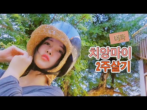 세탁 치킨 <strong>마사지</strong> 이사 브런치 [태국 <strong>치앙마이</strong> 2주 살기 4]