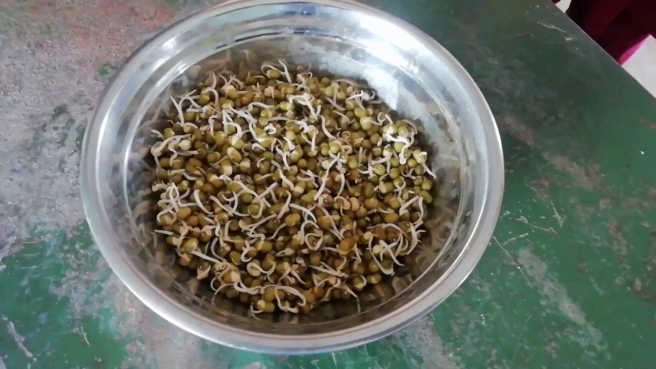 முளைகட்டிய பயிரை ஏன் சாப்பிட வேண்டும் ? மாணவிகள் கூறுவதைக் கேளுங்க...... - YouTube