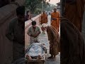 Buddha Escaped Three Palaces to Find Real Freedom