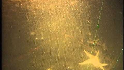 C109NC_Tape5o.noaudio.mpg