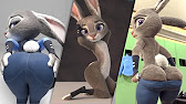 What type of rabbit is Judy Hopps?