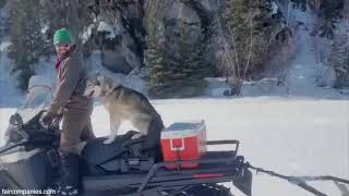 19 Abandoned Mansion To Luxury Home 5 Years In 30 Minutes Renovation Journey