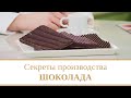 Как делают шоколад? Раскрываем секрет производства шоколада! | Магия процессов