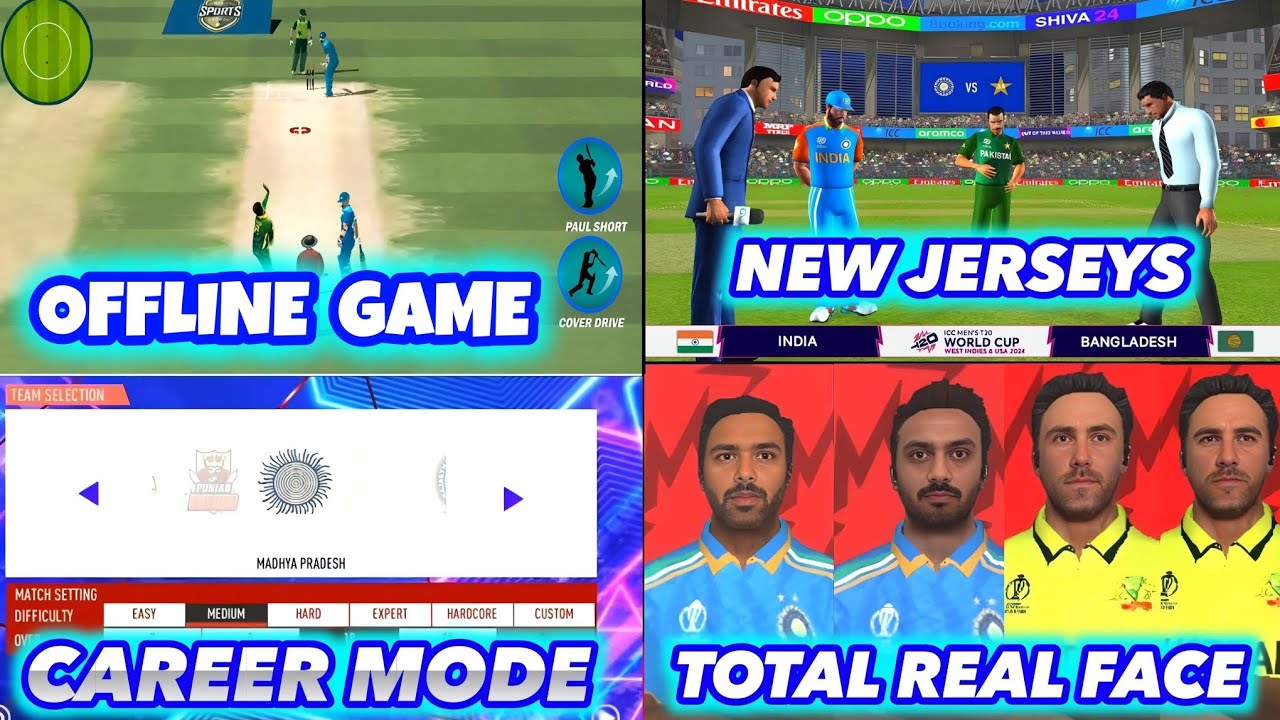 Offline cricket game