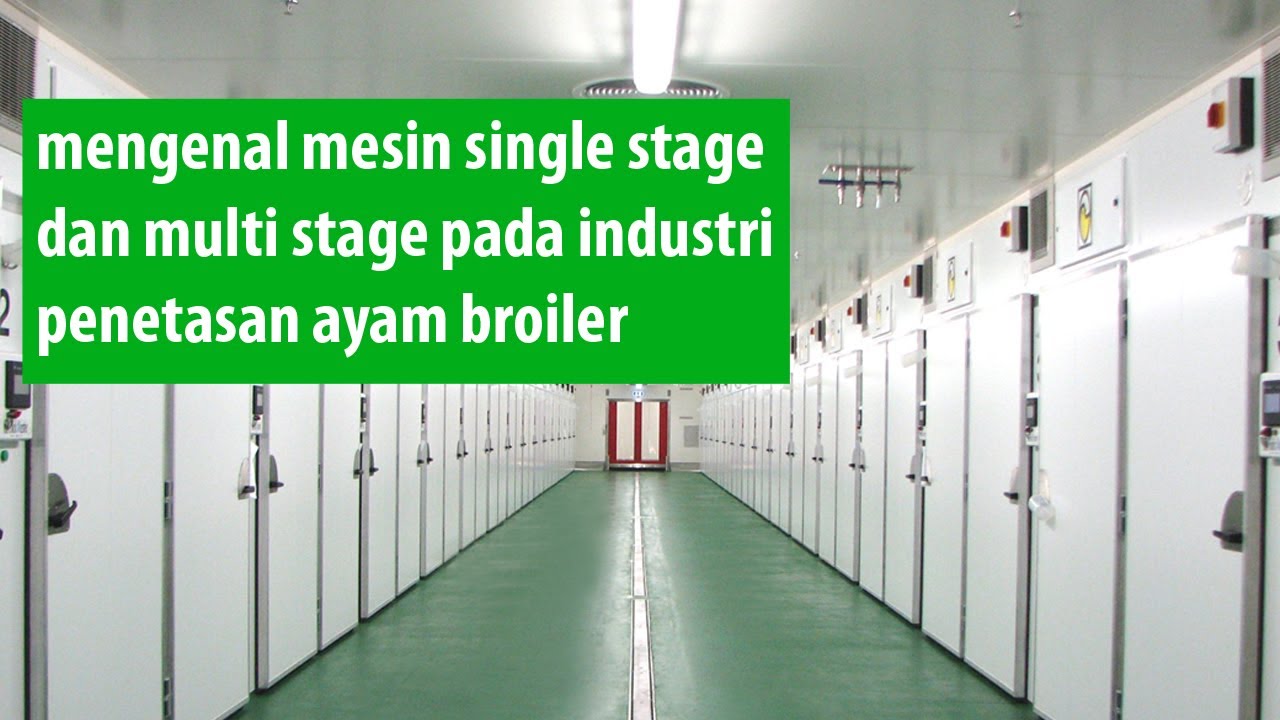 Mengenal mesin singlestage dan multistage pada penetasan ayam broiler  | HATCHERY