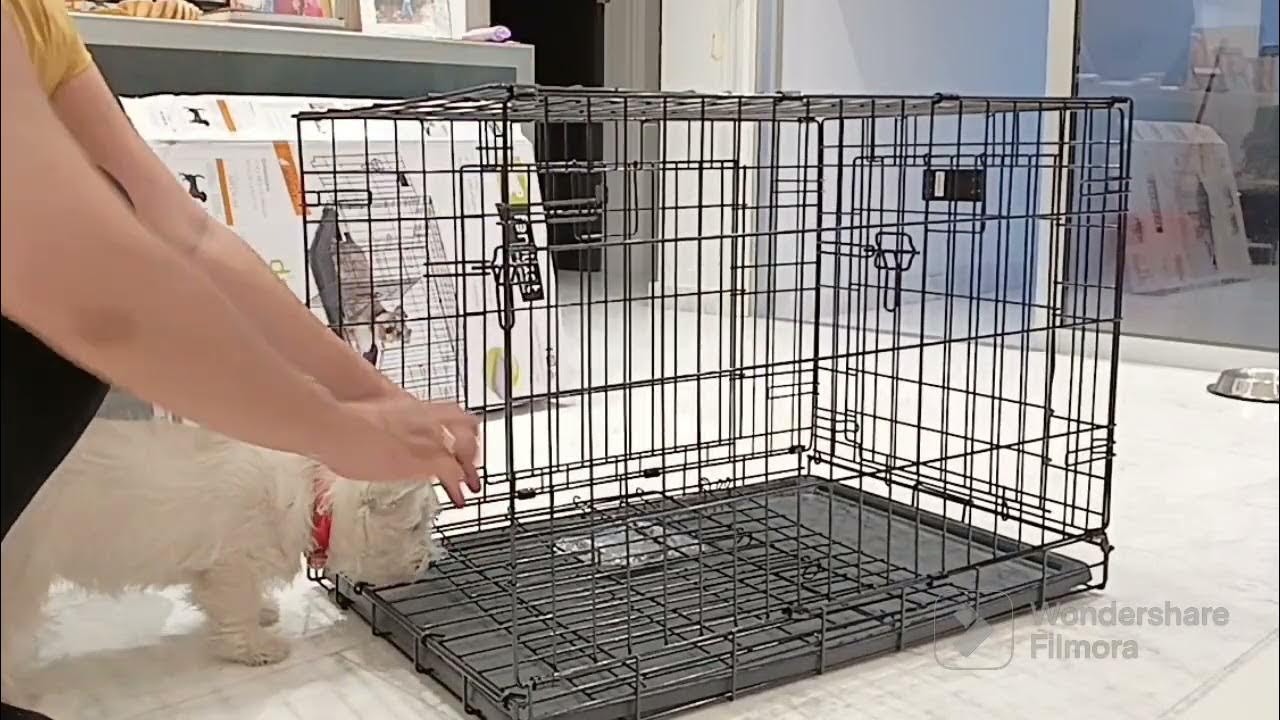Best Dog Crate for Westie westhighlandwhiteterrier YouTube