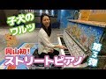 【ストリートピアノ】岡山初ストリートピアノで遊ぶ！第3弾！～子犬のワルツからの1か月半ぶりの革命～