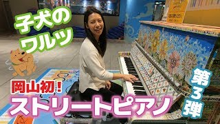 【ストリートピアノ】岡山初ストリートピアノで遊ぶ！第3弾！～子犬のワルツからの1か月半ぶりの革命～