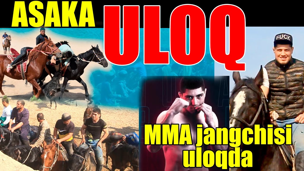 Asakada katta uloq Polvonlar mukofotlandi | MMA jangchisi ham qatnashdi Hotamjon