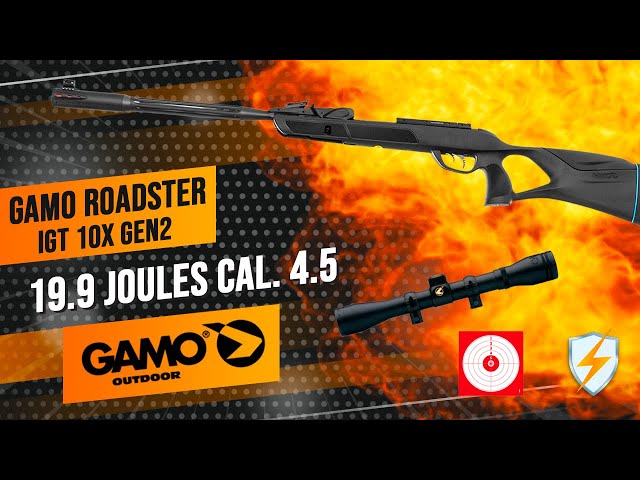 Carabine Gamo Roadster IGT 4.5mm (20 Joules) - Armurerie Loisir