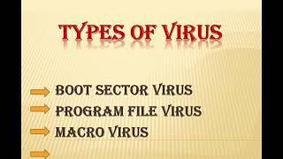 PowerPoint Presentation on Virus - Sagnik Datta