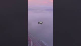 San Francisco Hidden Gens You NEED to See in 24 Hours!