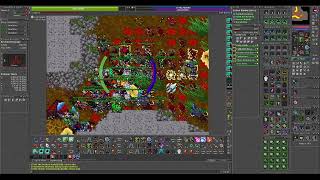 Tibia War-Baby little Fist 890 ED + Gusz Warman 650 ED Flimsy