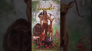 27 марта 2024 г.#tarozovet #numermariya #таро #данет #tarot #подарок #respect #таролог #tarotreading