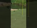 Could YOU create this much spin? 🤔