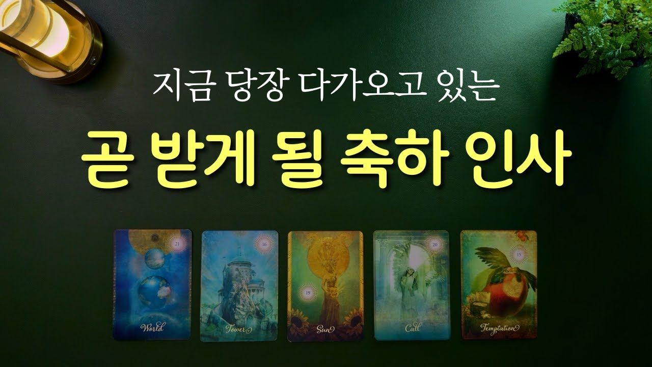[타로] 곧 받게 될 축하 🙏 어떤 마법같은 일이 일어날까요?