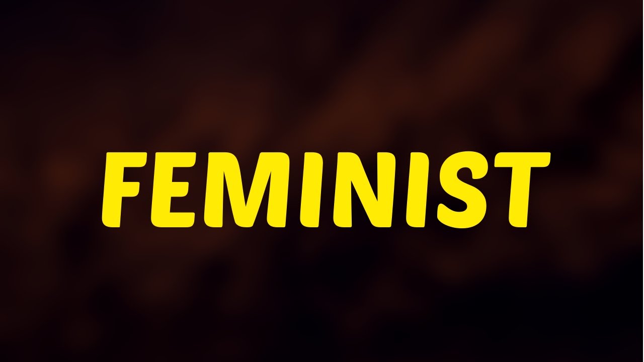 What Does FEMINIST  Means || Meanings And Definitions in ENGLISH