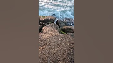 ارح سمعك 🎧 تلاوه هادئه تريح القلب والعقل 🎧🎤أيات من سورة الواقعه 💓بصوت جميل جداً 🎤💓