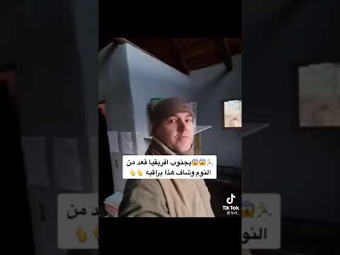 في جنوب افريقيا صحا من النوم لقى اسد ينتضره 