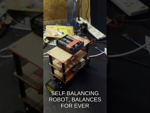 Balancing Forever!! Self Balancing Robot