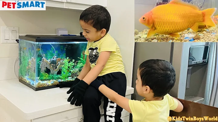 PETSMART | Kids first Pet ! Buying Fish for Aquarium | Fun Day #petsmart #aquariumfish #kidsfun