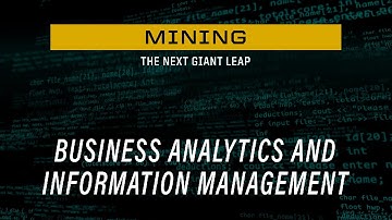 Business Analytics and Information Management