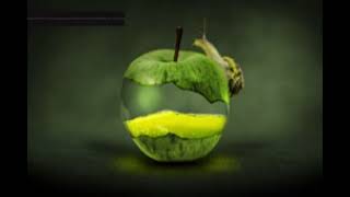 Pérotinslide Recording inbepanuba