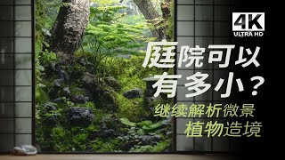 [4K] 打造蓬窗下的庭院微景 | 微型植物造境方法與技巧解析！🌿✨【野趣三川Leon】