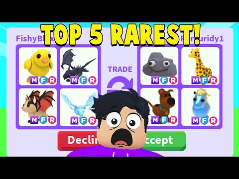 I traded my