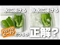 パリパリピーマンって氷はいるの？水に浸けるのは1日、2日どっちが正解？