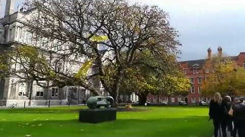 Trinity College - Erasmus +