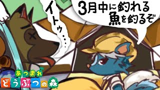 #7【あつまれどうぶつの森】「イトウ・・・」実況LIVE【あつ森/switch】