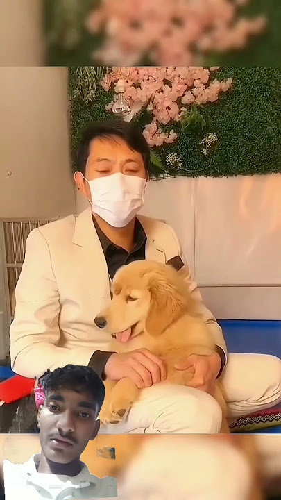 THE PUPPY WITH A MAGICAL TAIL ON ITS HEAD