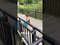 釣れなかった