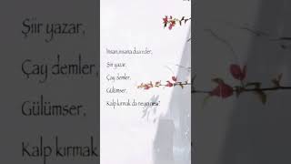 Insan Insana Etmediği Kalmadı..