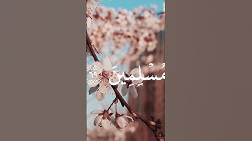 لحظات من الخشوع مع تلاوة الشيخ محمد صديق المنشاوي