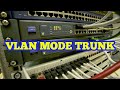 VLAN MODE TRUNK