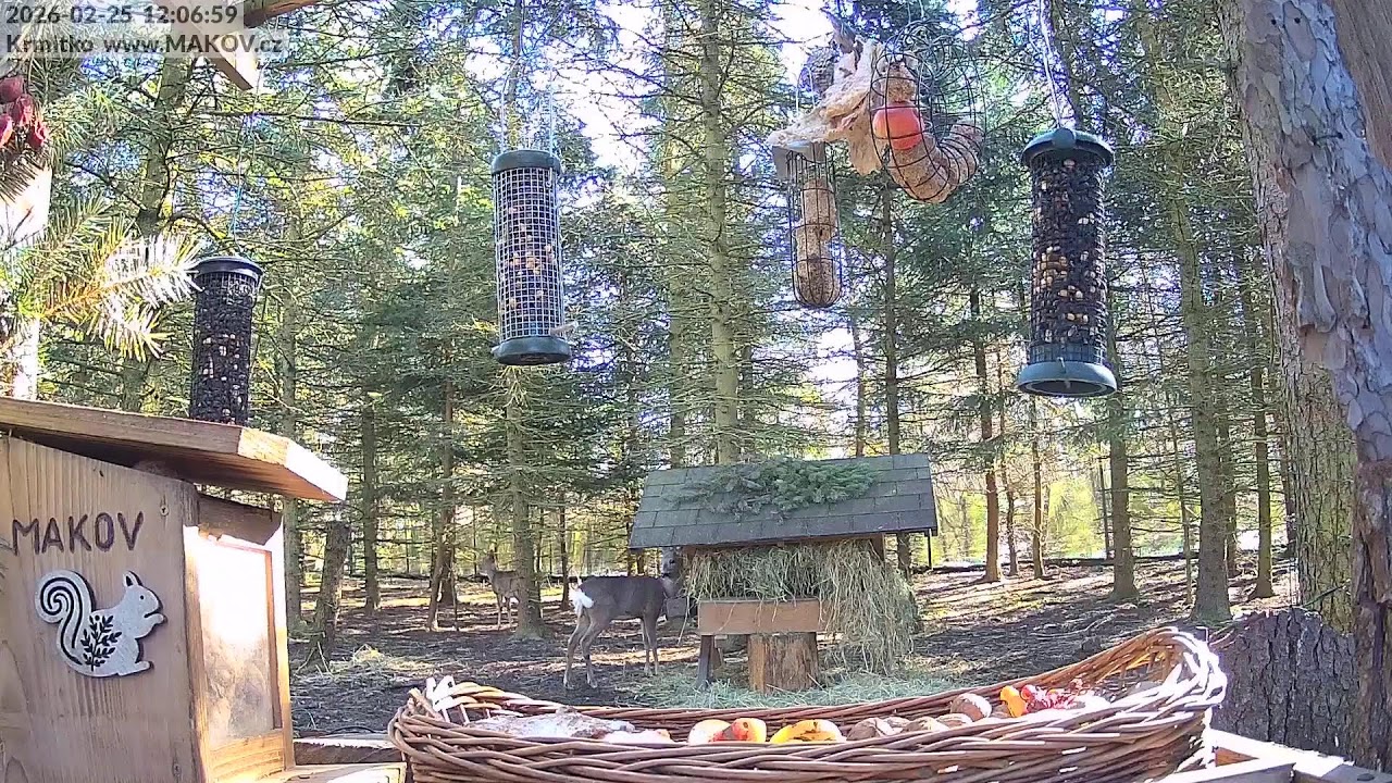 Záchranná stanice živočichů Makov - Krmítko