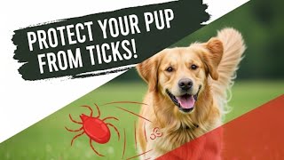 Tick-Free Dogs: A Scientific Approach to Prevention
