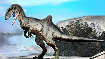 How a Solo Player Hunts On The Official Server