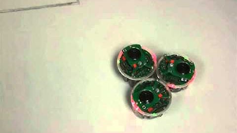 Behaviour-based e-puck Controller: Emergent Social Gathering (Unexpected Emerged Behaviour)