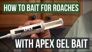 Apex Cockroach Bait- Baiting for German Roaches