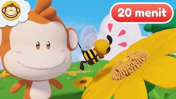 Lagu Anak Anak | Lebah dan Madu dan Lainnya