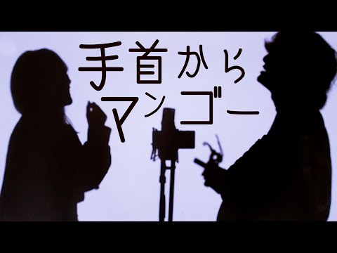 手首からマンゴー - たかやん (とくみくす&RiMy full cover.)【フル歌詞・コードあり】